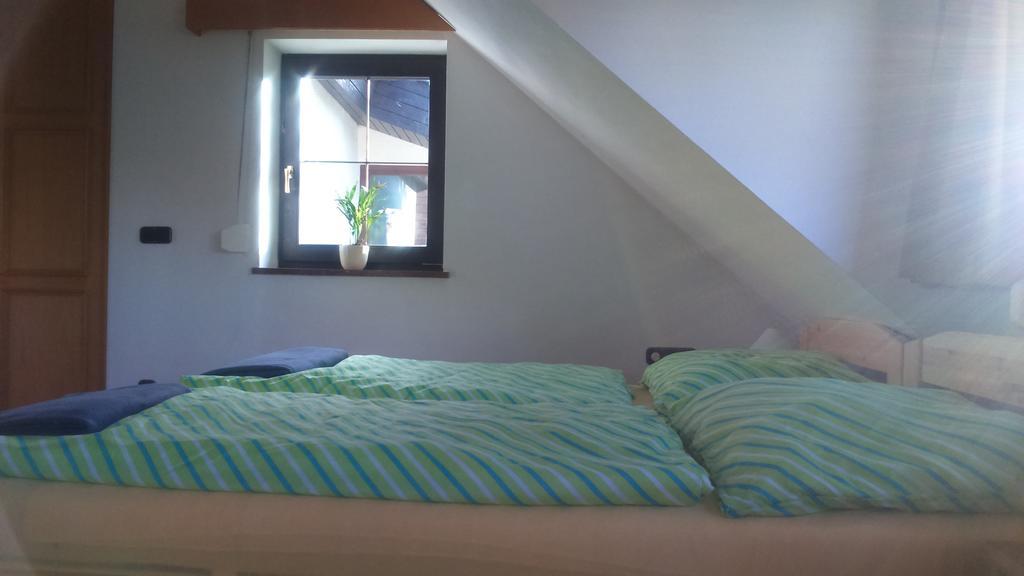 Haus Ruf Apartment Windischgarsten Bagian luar foto